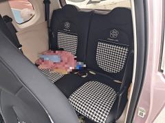 FAW Besturn Xiaoma 222km Cute Horse Plus - photo 13