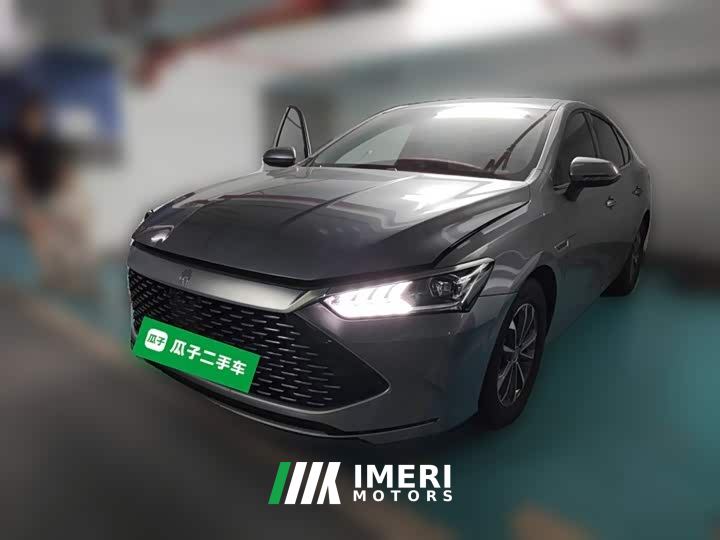BYD Qin PLUS Champion Edition DM-i 55KM Leading - car from China