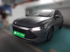 BYD Qin PLUS Champion Edition DM-i 55KM Leading - photo 1
