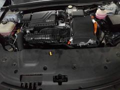 BYD Qin PLUS Champion Edition DM-i 55KM Leading - photo 16