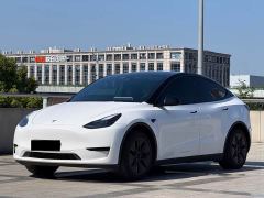 Tesla Model Y Rear-Wheel Drive - ფოტო 1