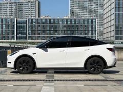 Tesla Model Y Rear-Wheel Drive - ფოტო 3