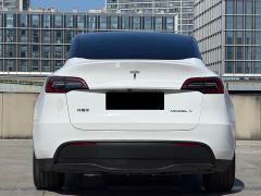 Tesla Model Y Rear-Wheel Drive - ფოტო 9