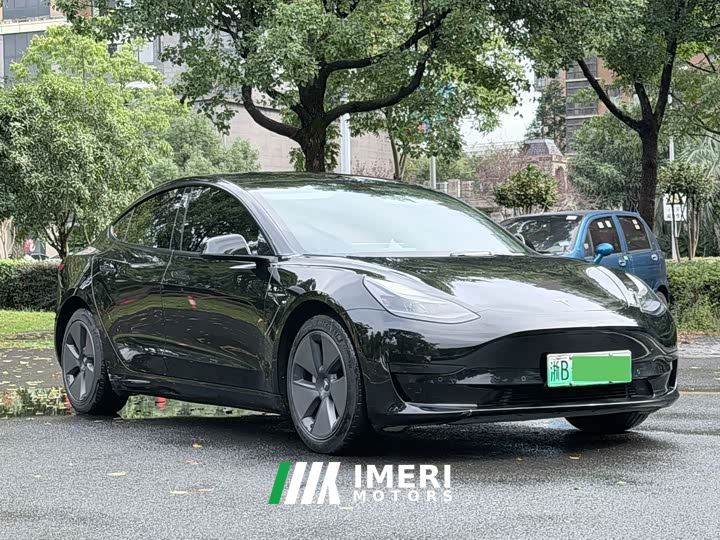 Tesla Model 3 Rear-Wheel Drive