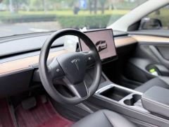 Tesla Model 3 Rear-Wheel Drive - ფოტო 14