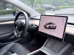 Tesla Model 3 Rear-Wheel Drive - ფოტო 15
