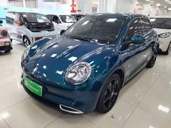 ORA Good Cat 401km Deluxe 126kW - ფოტო 1