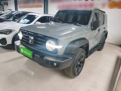 Tank 300 Off-Road Edition 2.0T Conqueror - photo 1