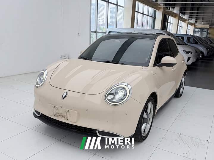 ORA Good Cat 400km Standard Range Athena Edition LFP Battery - ავტომობილი ჩინეთიდან