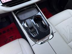 Zeekr 009 Seven-Seat Aisle Version AWD 108kWh - photo 16