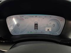 BYD Song Plus New Energy Glory Edition EV 520km Flagship - фото 14