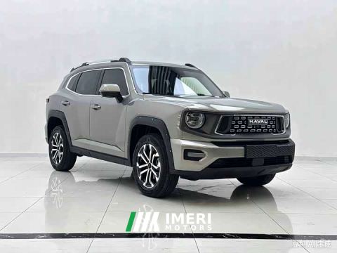 2023 Haval Big Dog PLUS 2.0T AWD Trendy Wilderness Plus - ავტომობილი ჩინეთიდან