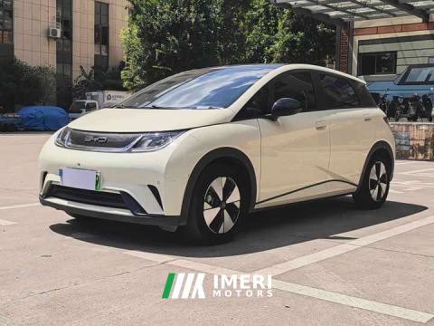 2023 BYD Dolphin 420km Fashion Edition - ავტომობილი ჩინეთიდან