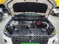 Ford Adventurer 2.0T FWD Elegant Edition - photo 19