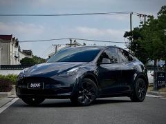 Tesla Model Y Rear-Wheel Drive - ფოტო 1