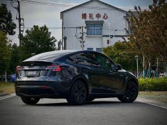 Tesla Model Y Rear-Wheel Drive - ფოტო 9