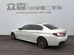 BMW 5 Series 530Li Premier M Sport Package - photo 4