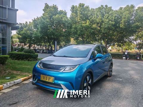 2022 BYD Dolphin 405km Fashion Edition - car from China