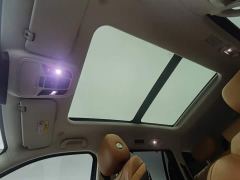 Tank 500 3.0T Business Edition Landscape Trim 5-Seater - photo 14