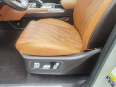 Tank 500 3.0T Business Edition Landscape Trim 5-Seater - photo 20