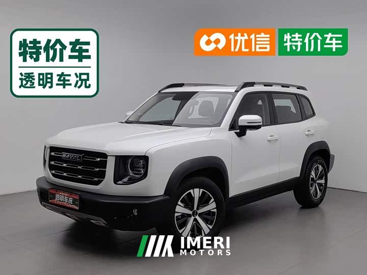 Great Wall Dachshund 1.5T DCT Two-Wheel Drive Labrador Edition