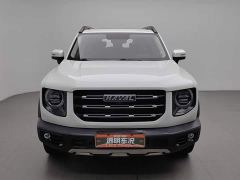 Great Wall Dachshund 1.5T DCT Two-Wheel Drive Labrador Edition - photo 3