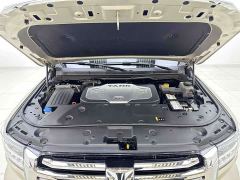 Tank 500 3.0T Sport Landscape 5-Seater - photo 7