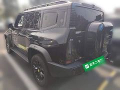 Jetour Jietu Traveler 2.0T AWD Traverse PRO Entertainment Edition - photo 6