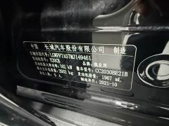 Tank 300 Off-Road Edition 2.0T Conqueror - ფოტო 11