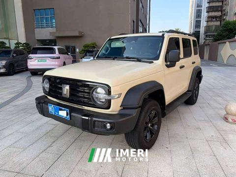2025 Tank 300 2.0T Gasoline Conqueror - ავტომობილი ჩინეთიდან