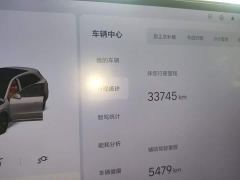 Li Auto L6 Pro - ფოტო 8