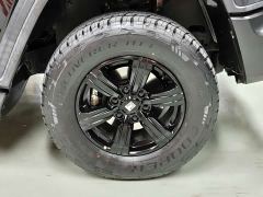 Tank 300 Off-Road Edition 2.0T Conqueror - ფოტო 16