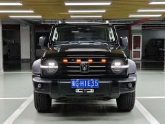 Tank 300 Off-Road Edition 2.0T Conqueror - ფოტო 2