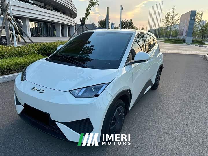 BYD Seagull Glory Edition 305km Vitality Version - ავტომობილი ჩინეთიდან