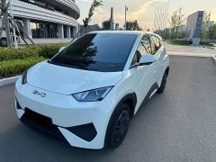 BYD Seagull Glory Edition 305km Vitality Version - ფოტო 1
