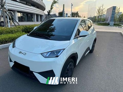 2024 BYD Seagull Glory Edition 305km Vitality Version - car from China
