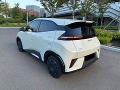 BYD Seagull Glory Edition 305km Vitality Version - ფოტო 7