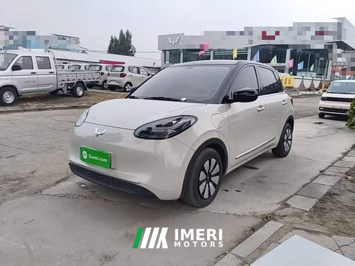 Wuling Binguo 333km Joy Edition - car from China