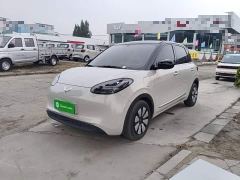 Wuling Binguo 333km Joy Edition - photo 1