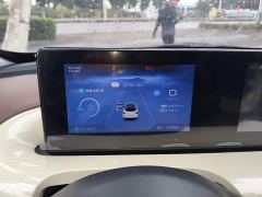 Wuling Binguo 333km Joy Edition - photo 11