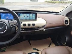 Wuling Binguo 333km Joy Edition - photo 12