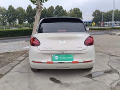 Wuling Binguo 333km Joy Edition - photo 5