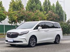 Buick GL8 ES Land Respect 653T Luxury - фото 1