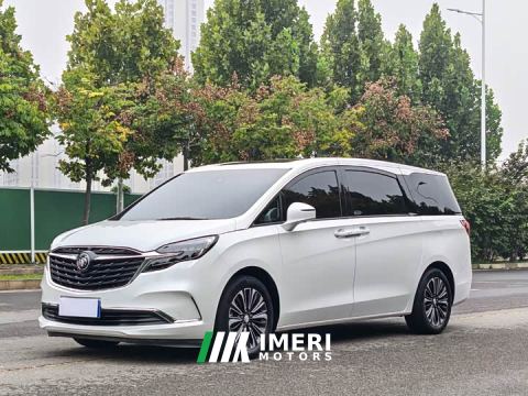 2022 Buick GL8 ES Land Respect 653T Luxury - car from China