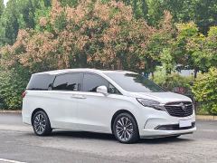 Buick GL8 ES Land Respect 653T Luxury - фото 3