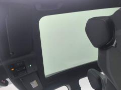 Volkswagen Yuzhong 06 Facelift Pro Long Range Edition - ფოტო 14