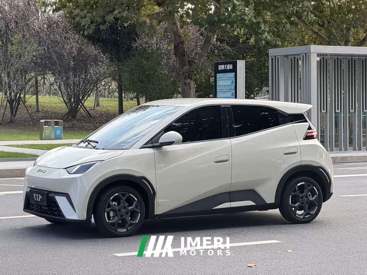BYD Seagull 305km Freedom Edition - автомобиль из Китая