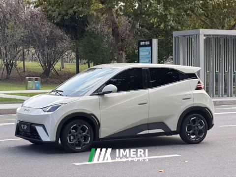 2025 BYD Seagull 305km Freedom Edition - ავტომობილი ჩინეთიდან
