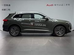 Audi Q5L 2.0T Exclusive Edition for Millions of Users - photo 3