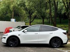 Tesla Model Y Rear-Wheel Drive - ფოტო 3